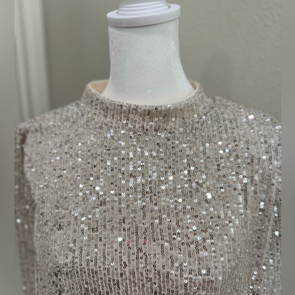Halogen Sequins Silver Dress with Cream Lining, XL - Picture 10 of 11